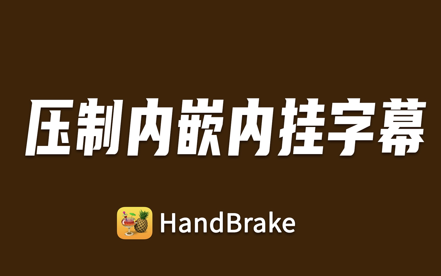 HandBrake 压制内嵌内挂字幕哔哩哔哩bilibili