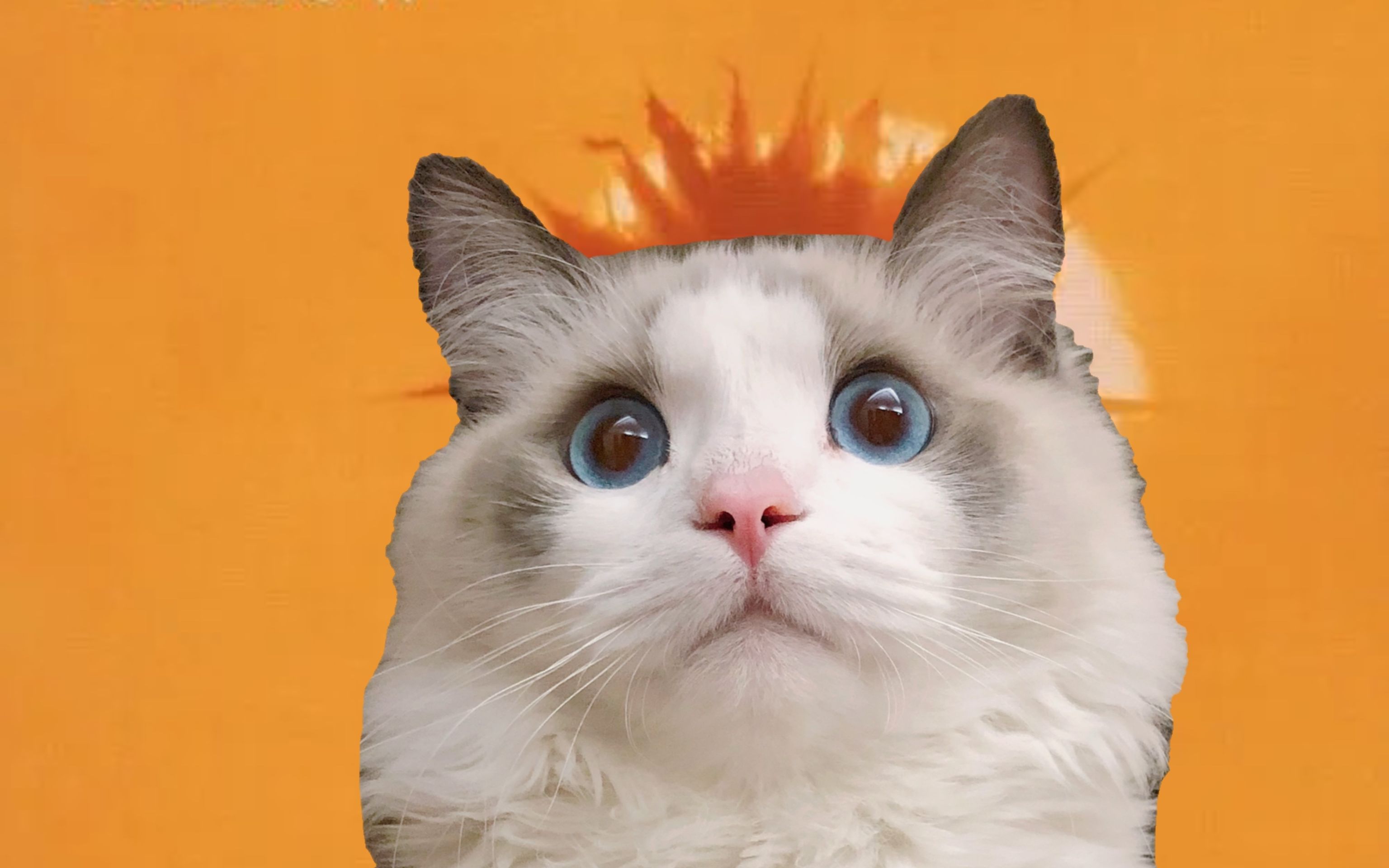 7分钟学唱酷玩coldplay温柔热单yellow