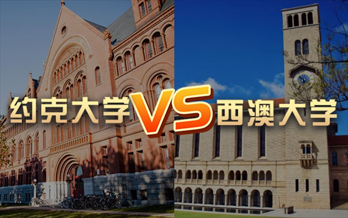 出国留学 | 约克大学vs西澳大学?QS排名 留学费用 申请要求哔哩哔哩bilibili