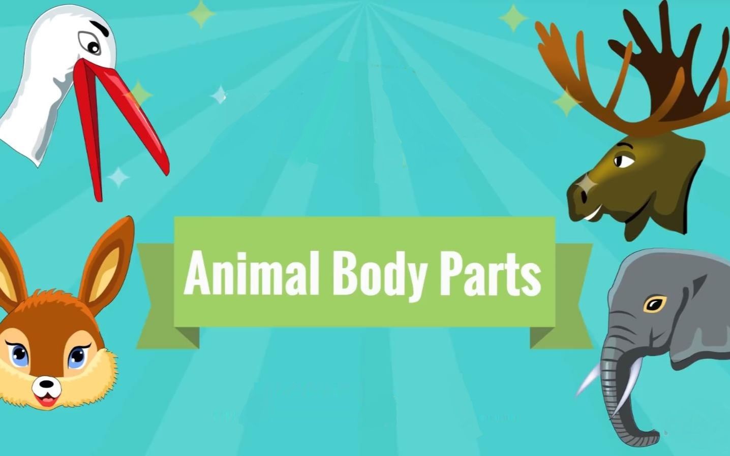 [图]【看视频学英语】学习动物的身体部位 （Learn the Animal Body Parts）