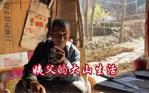 Download Video: 姨父放弃城里小区生活，一人回到深山，住着简易木棚，种地喂猫过着田园生活