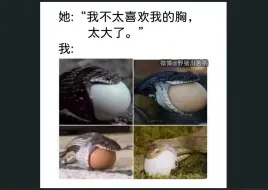 Download Video: 网络各种难绷图第48期（限流重发）