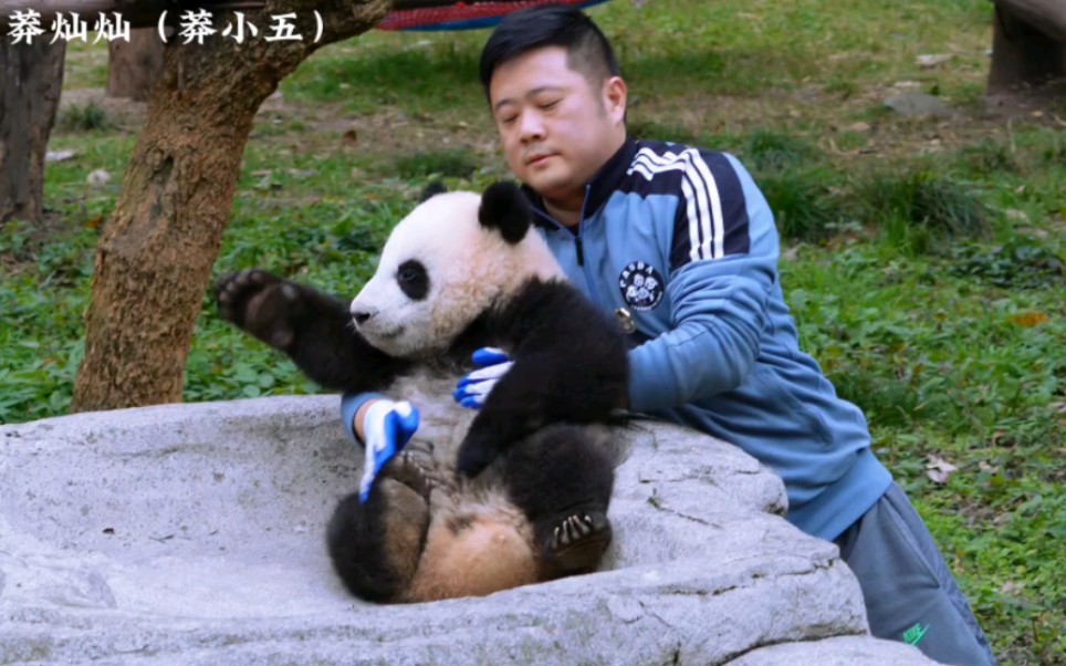 2.23小五跑回去追奶爸,被出门营业的妈妈逮个正着