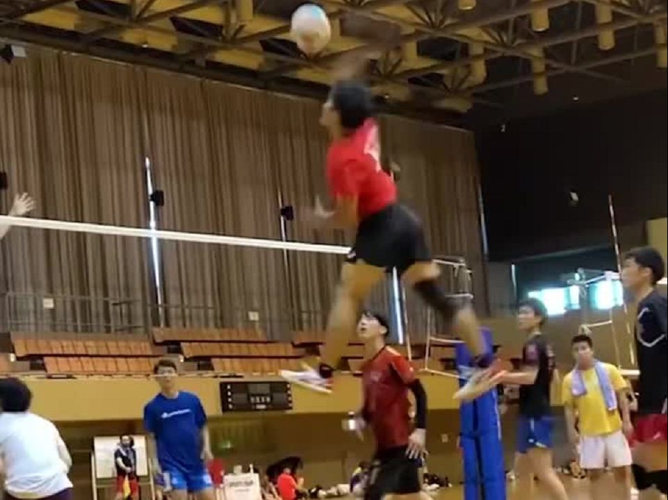 Volleyball!顶级弹跳,就是这么恣意!哔哩哔哩bilibili