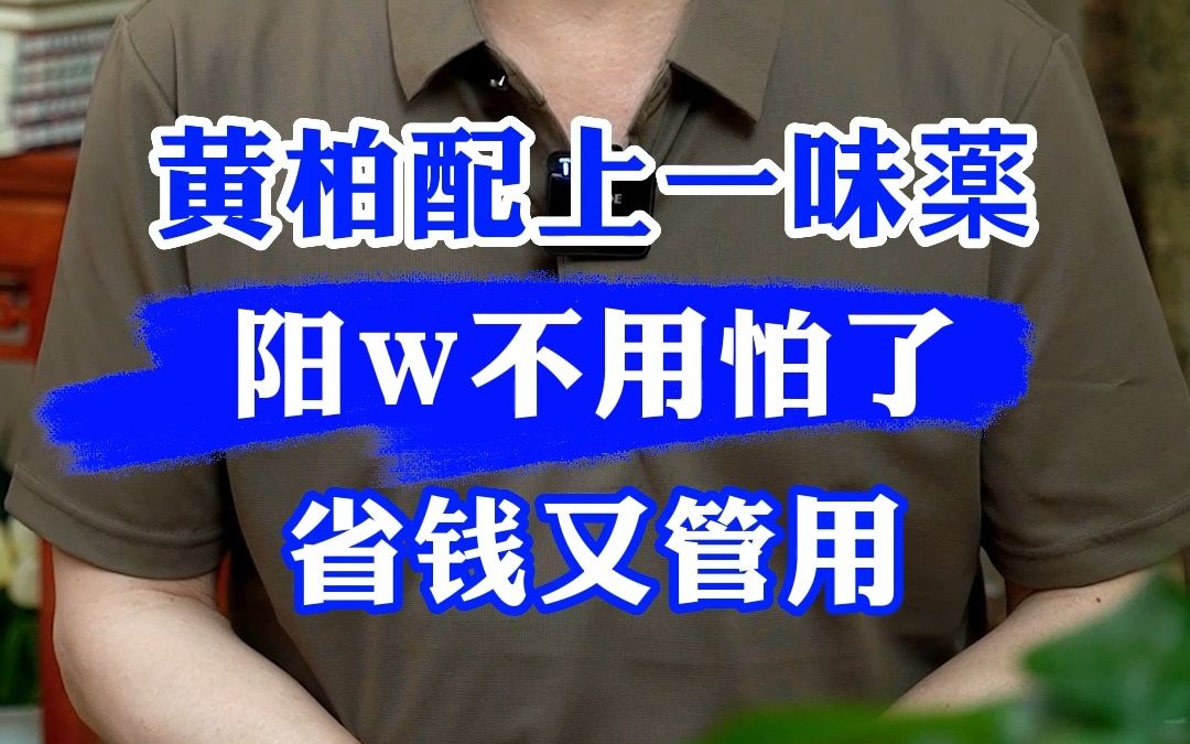 黄柏配上一味药,阳痿不用怕了哔哩哔哩bilibili