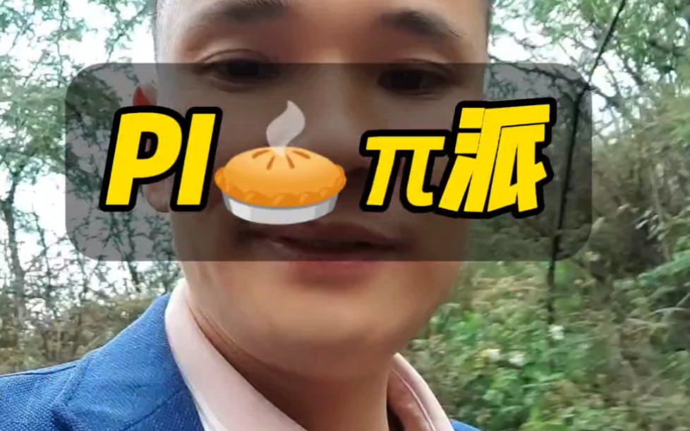 pi派“”哩哔哩bilibili