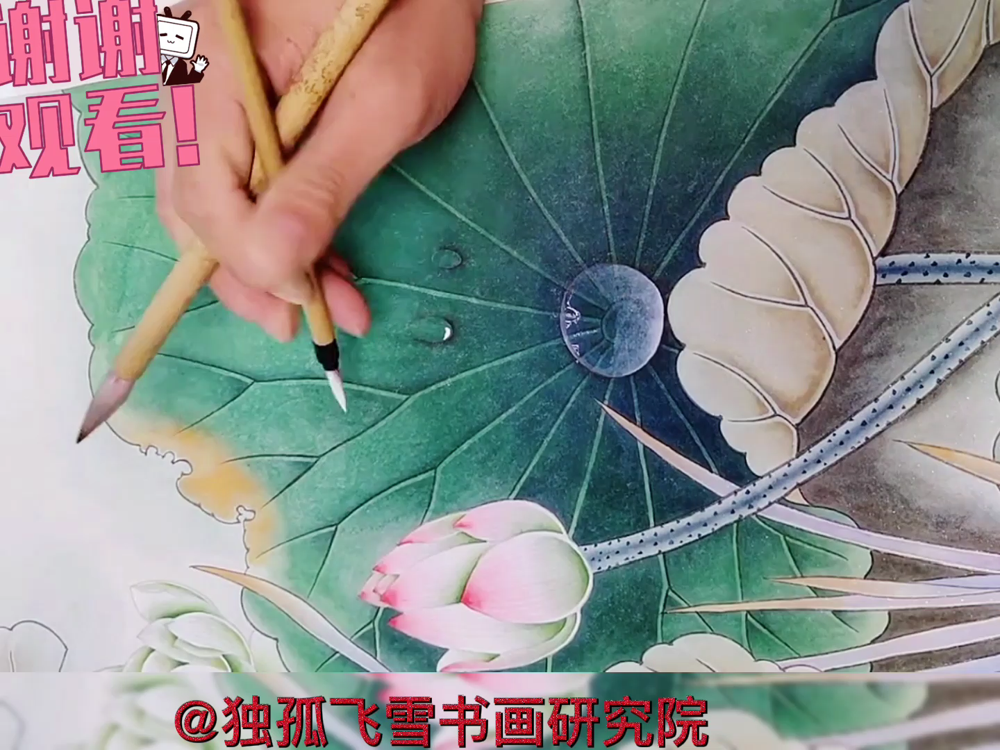 【国画】工笔荷花上画水珠,这个方法绝了,你学会了吗?