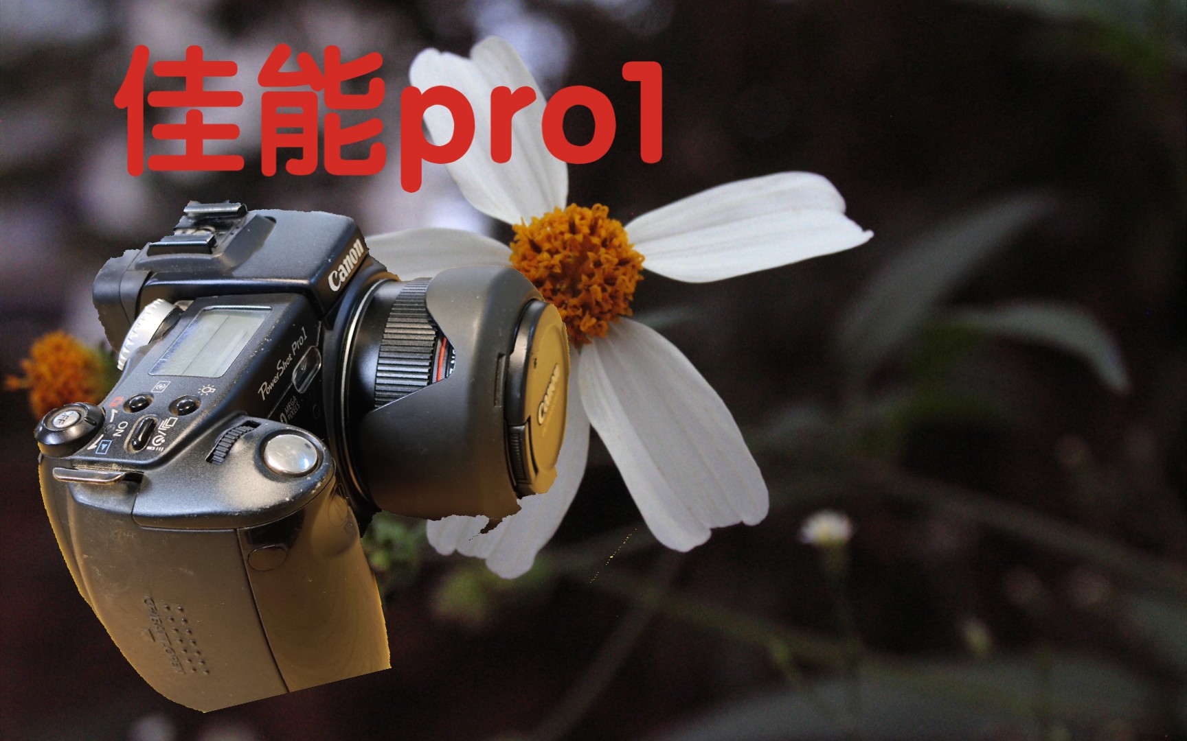 19年前的ccd现在还能打吗?-佳能pro1红圈镜头相机