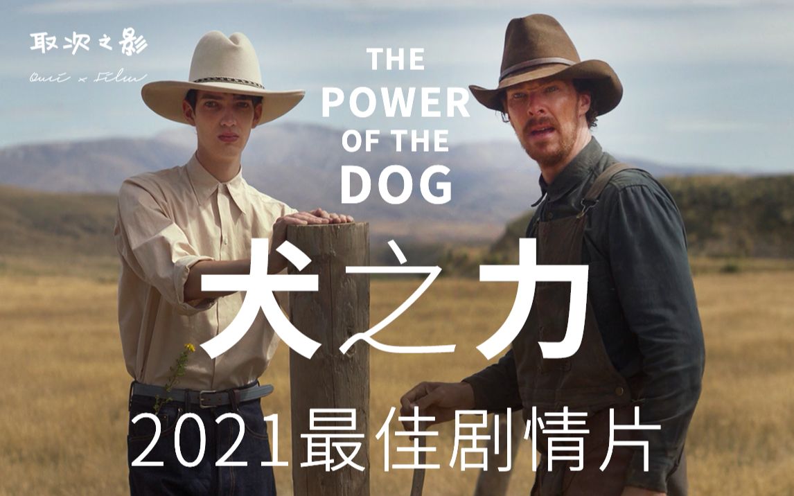 《犬之力》  2021最佳剧情片,卷福的最佳时刻  简ⷥŽ皮恩又一力作哔哩哔哩bilibili