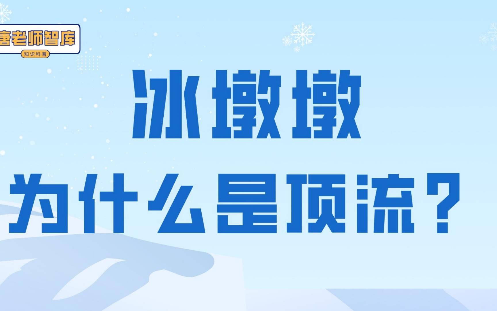 冰墩墩为什么是顶流?科普知识分享!哔哩哔哩bilibili