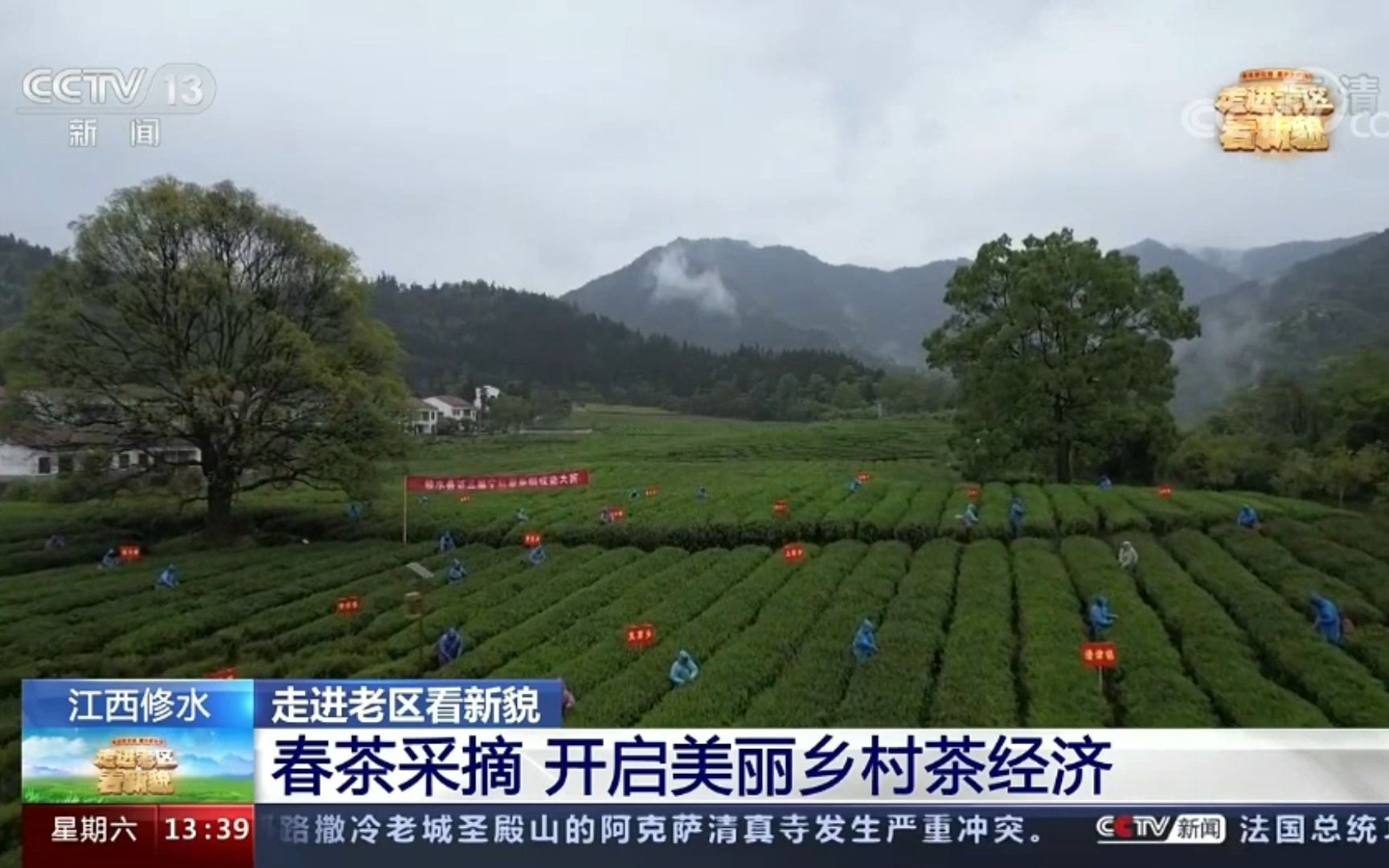 [图]央视《走进老区看新貌》看“修水春茶，开启美丽乡村茶经济的赣鄱缩影”！