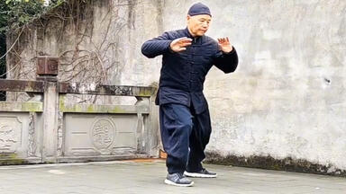 混元太極拳 陳氏太極拳 馮志強 出口衆太郎 VHS•DVDセット [動作確認済