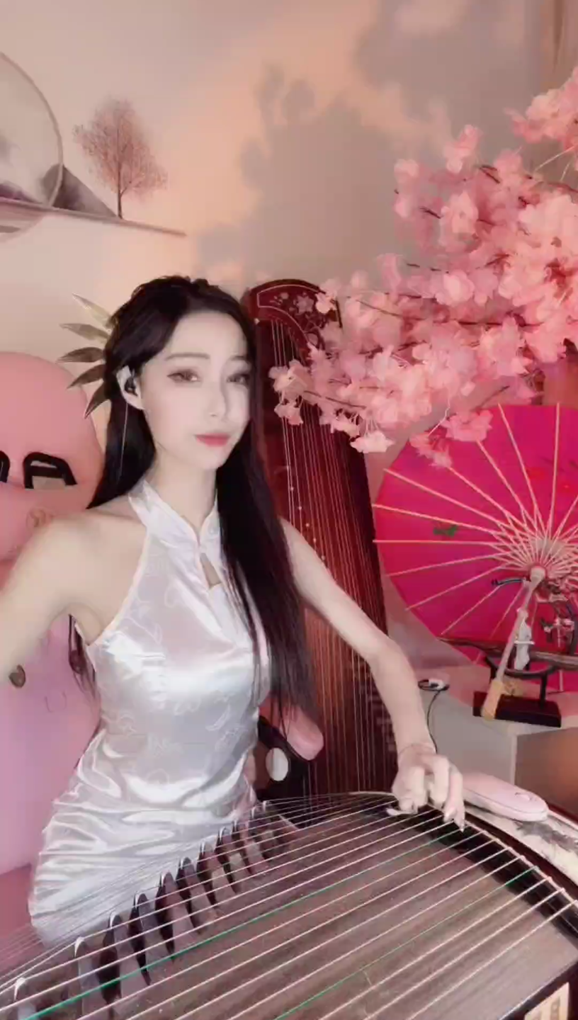 古筝小姐姐 美人吟