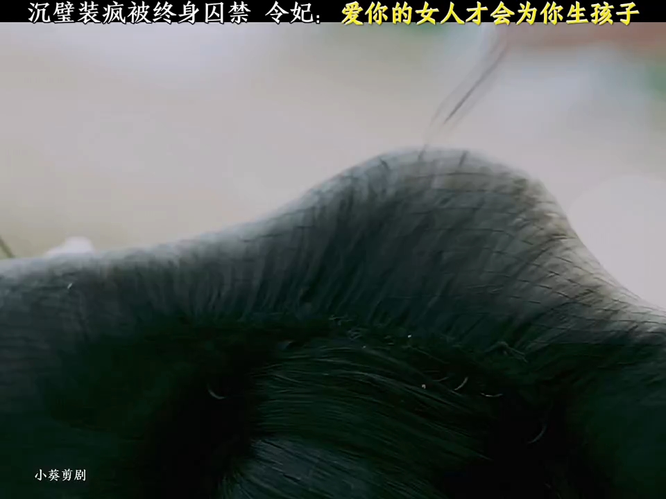 沉璧下线 令妃有孕 皇上高兴的像个傻子 "