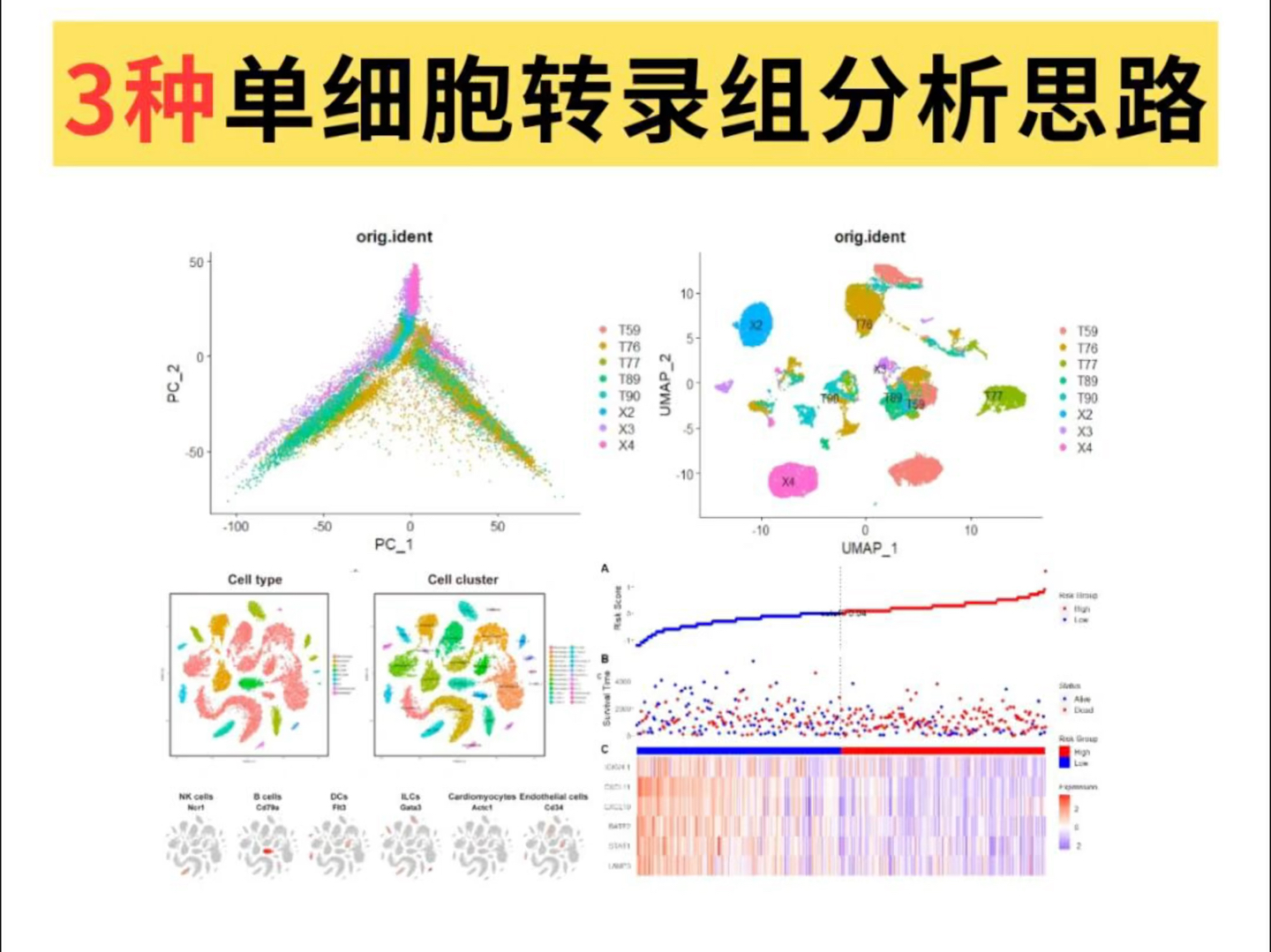 生信必看!三种单细胞转录组分析思路!哔哩哔哩bilibili