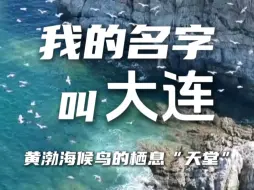 Скачать видео: 候鸟的栖息“天堂”，世界遗产入选地，这样的大连你知道吗？