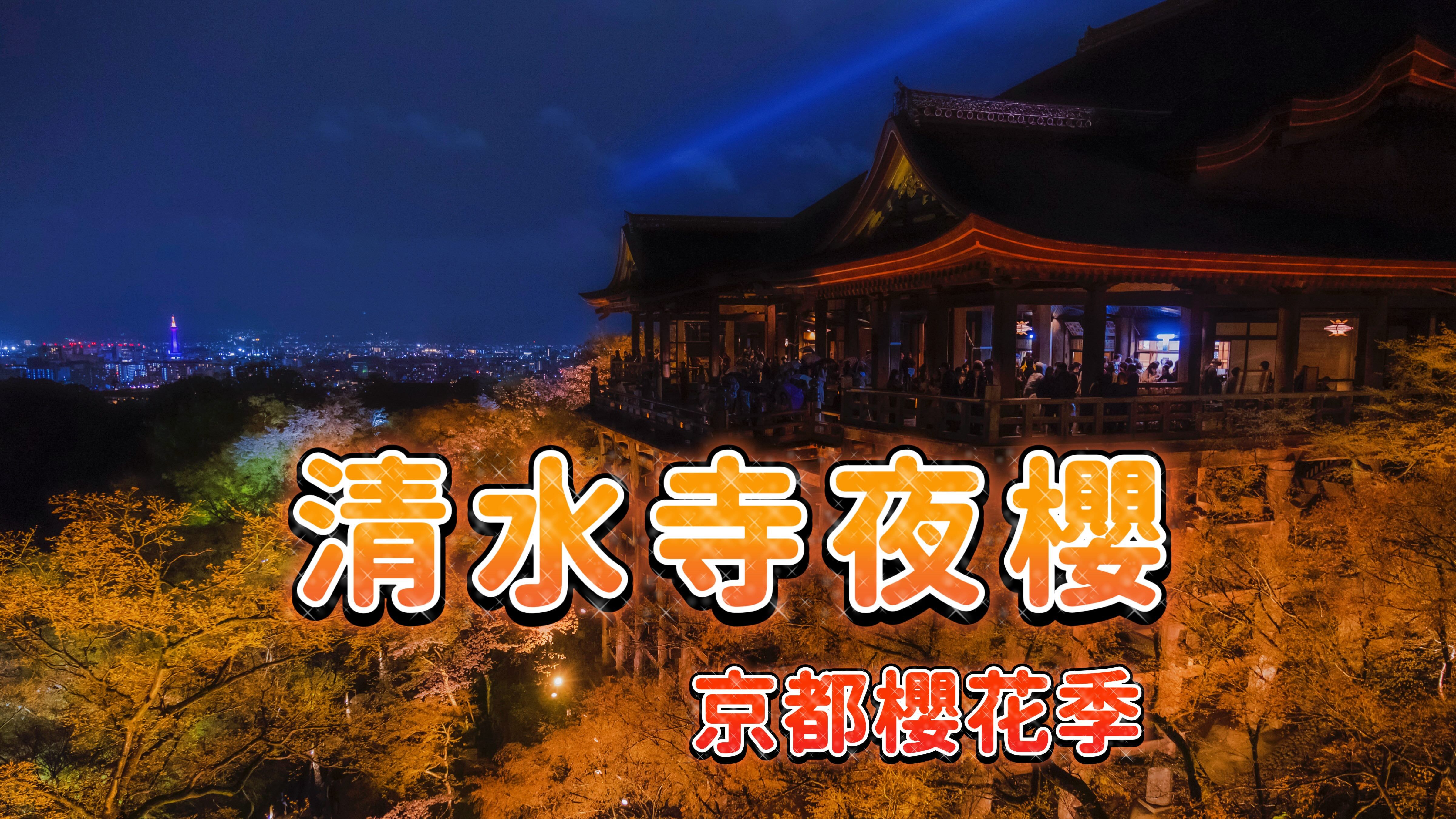 【京都樱花季】京都清水寺赏樱花|京都清水寺夜樱|京都清水寺哔哩哔哩bilibili