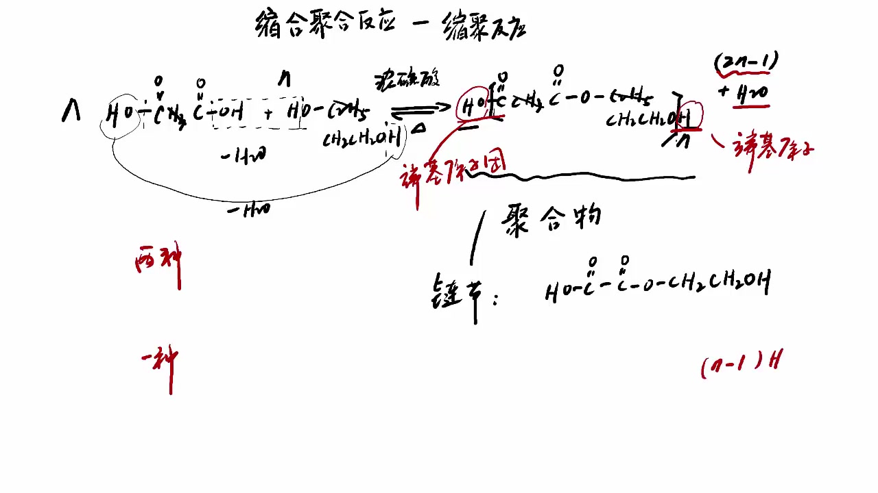 5512缩聚反应哔哩哔哩bilibili