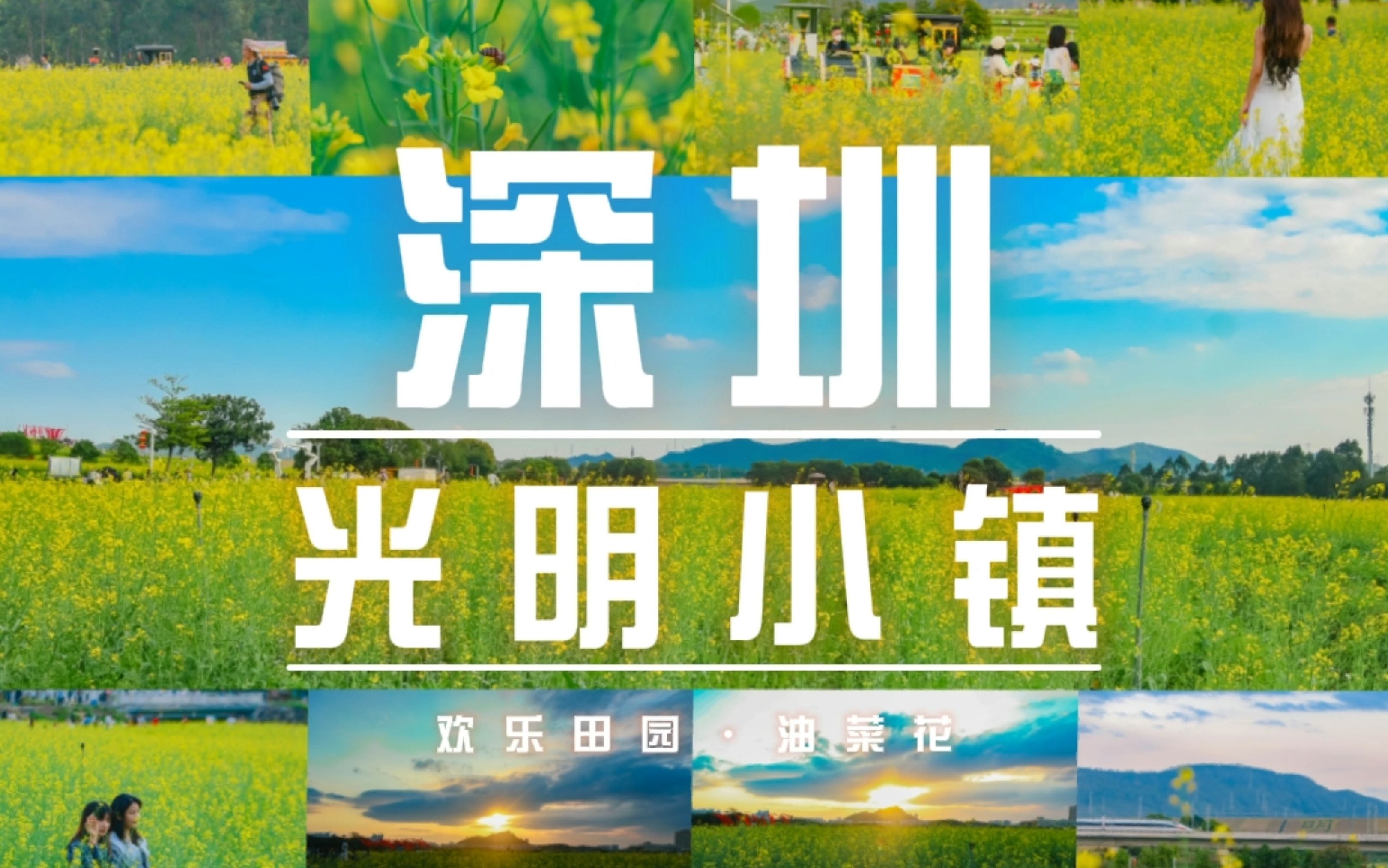 深圳·光明小镇欢乐田园·油菜花 | 摄影集