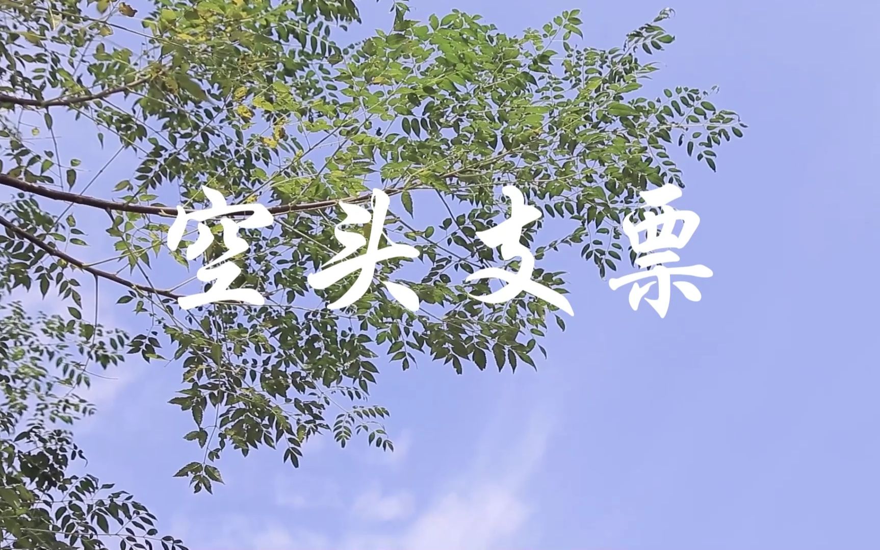 [图]大学生原创短片《空头支票》