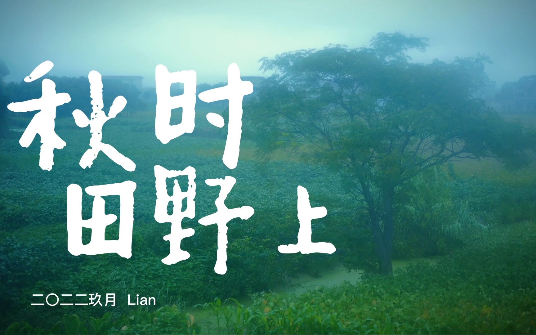 lians vlog|秋时田野上|九月|口菇酿虾|西芹炒虾滑