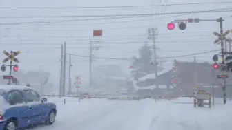 Download Video: 【日本铁道】【踏切】貨物列車通過雪中的青森市的踏切