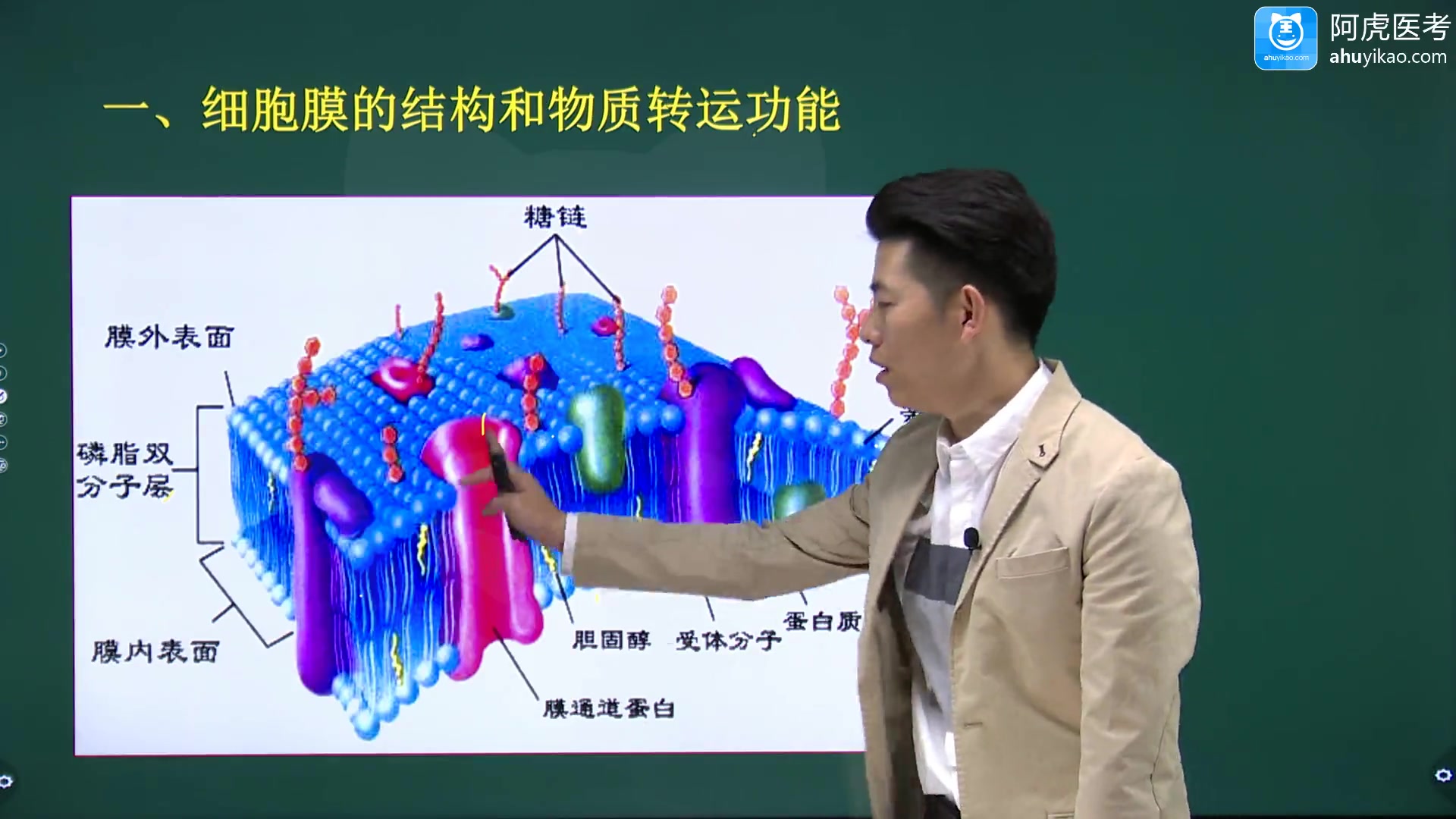 [图]2024年阿虎医考临床医学检验临床基础检验技术副高主任医师高级职称考试完整视频课程大纲培训题库历年真题笔试上岸 专业实践能力