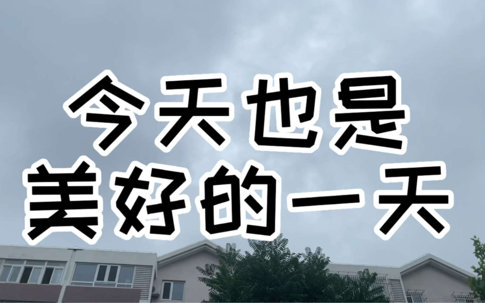 一切都在慢慢变好我的毛孩子能治愈一切不快乐回家了就好了