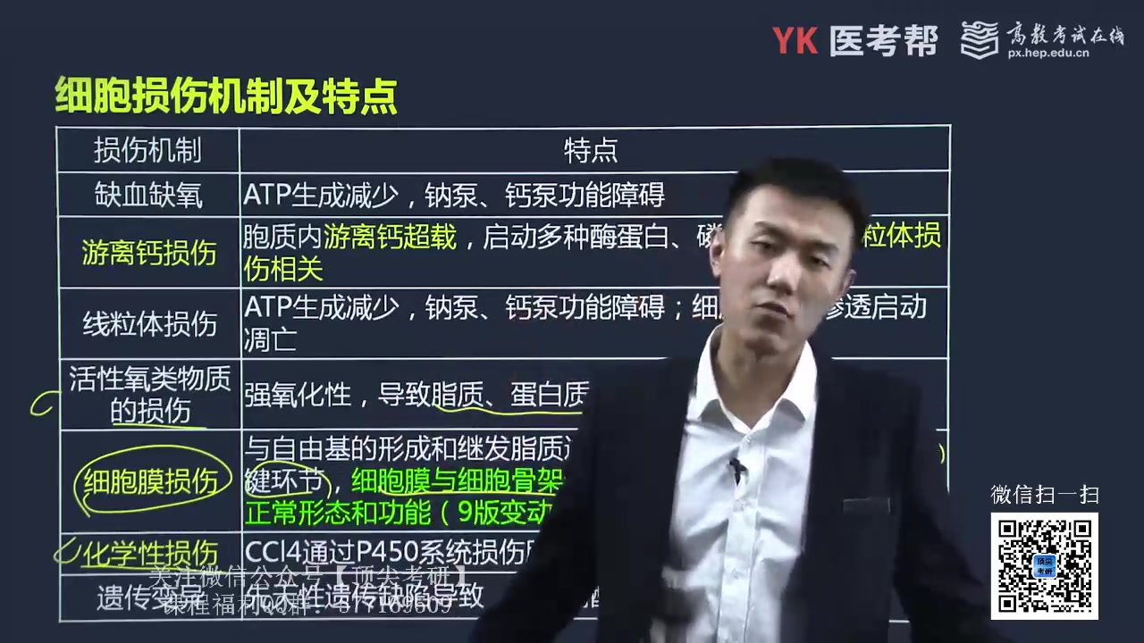 徐琦【病理学】 - 影音视频 - 小不点搜索