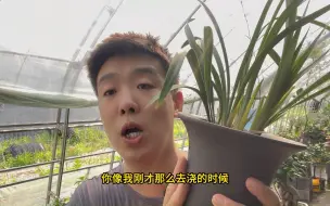 Video herunterladen: 夏天中午能不能给花浇水？一个重点要牢记