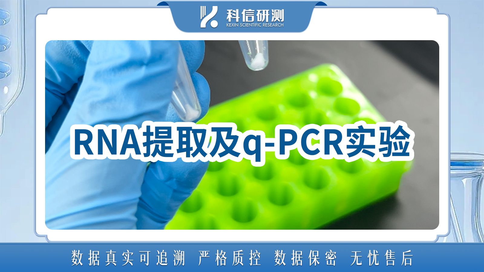 RNA Extraction Protocol with Detailed Techniques