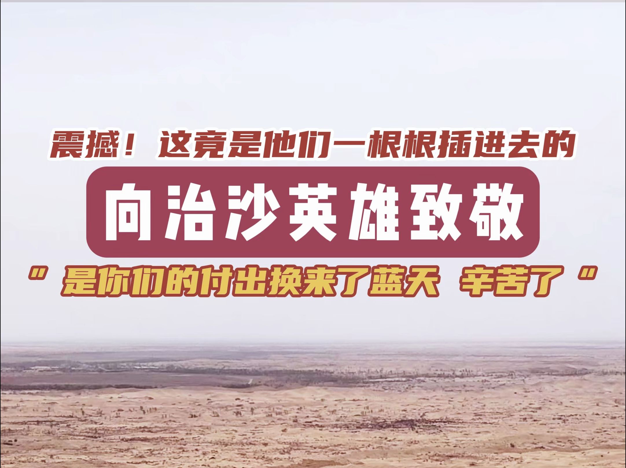 这竟是他们一根根插进去的!向治沙英雄致敬!