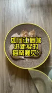 Download Video: 如何让猫咪进新买的猫窝睡觉？