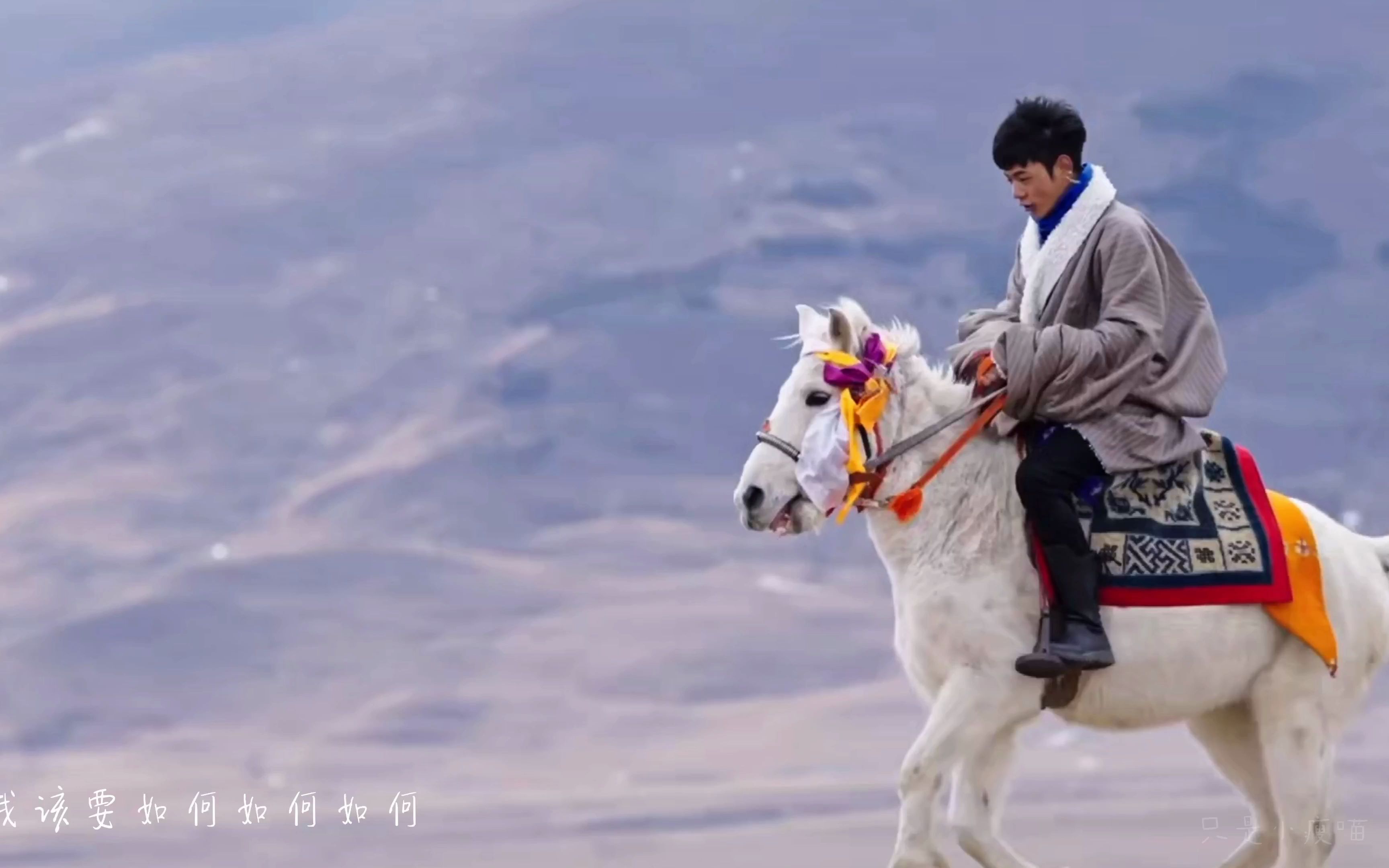 丁真包被,我想要化作理塘的风去拥抱你.