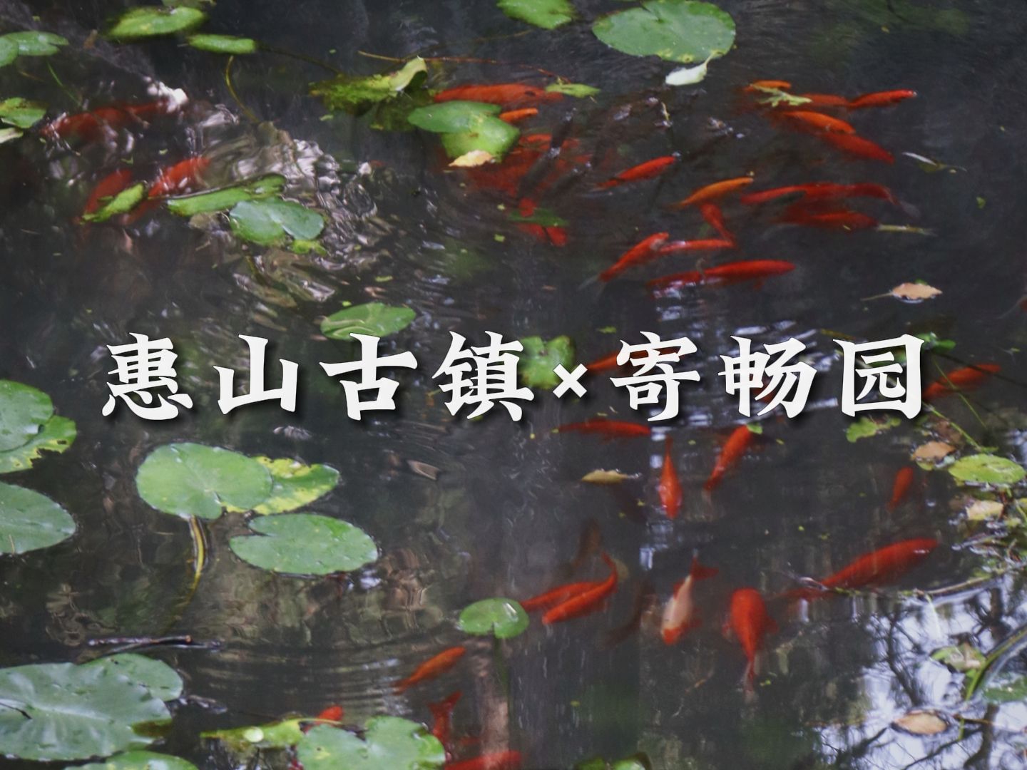 行万里×无锡| 40℃高温勇闯古镇,游寄畅园