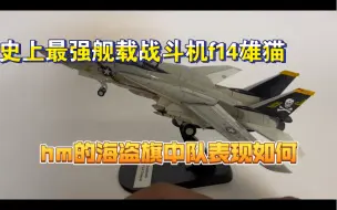 Download Video: hm f14雄猫舰载战斗机模型