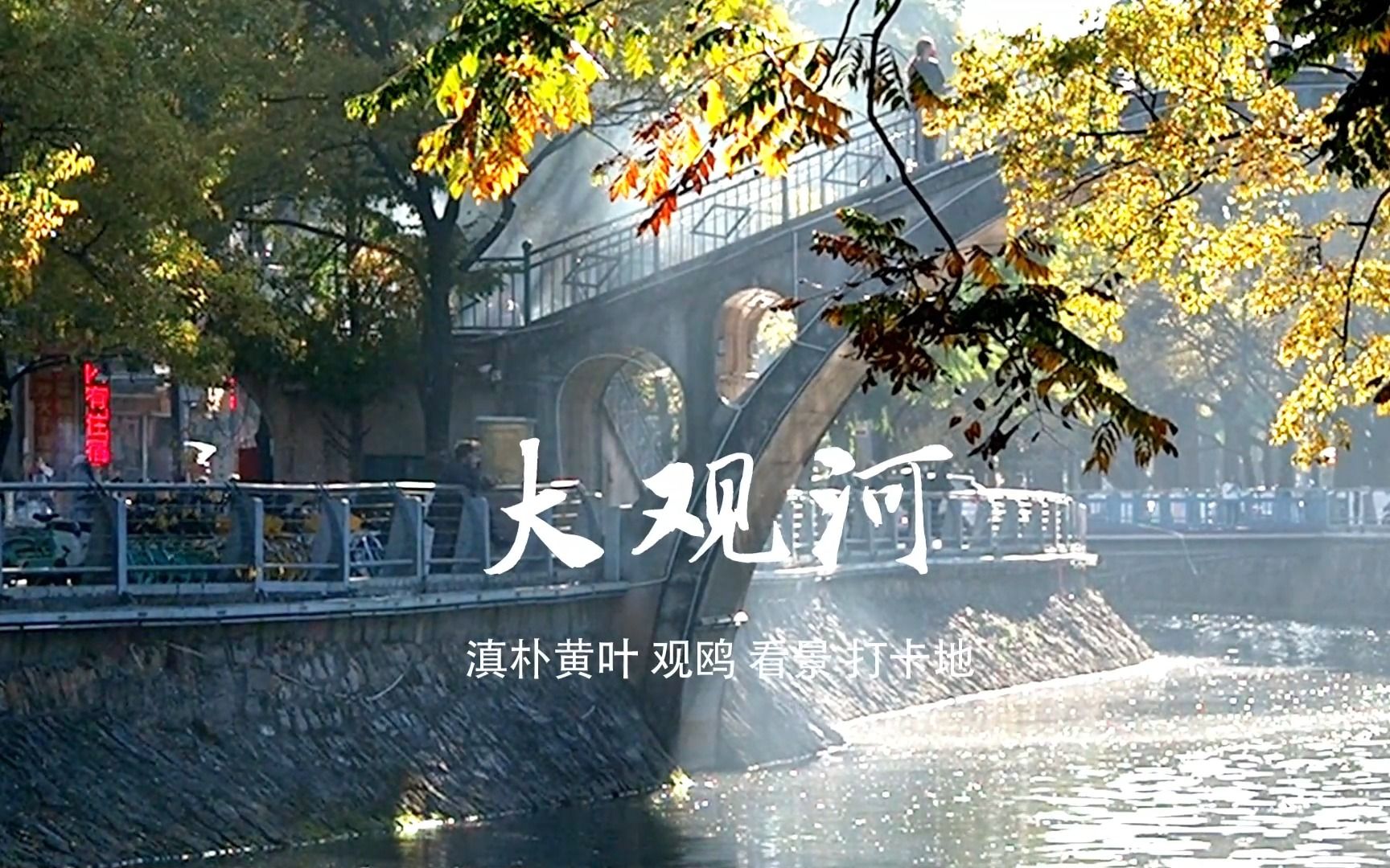 昆明大观河哔哩哔哩bilibili