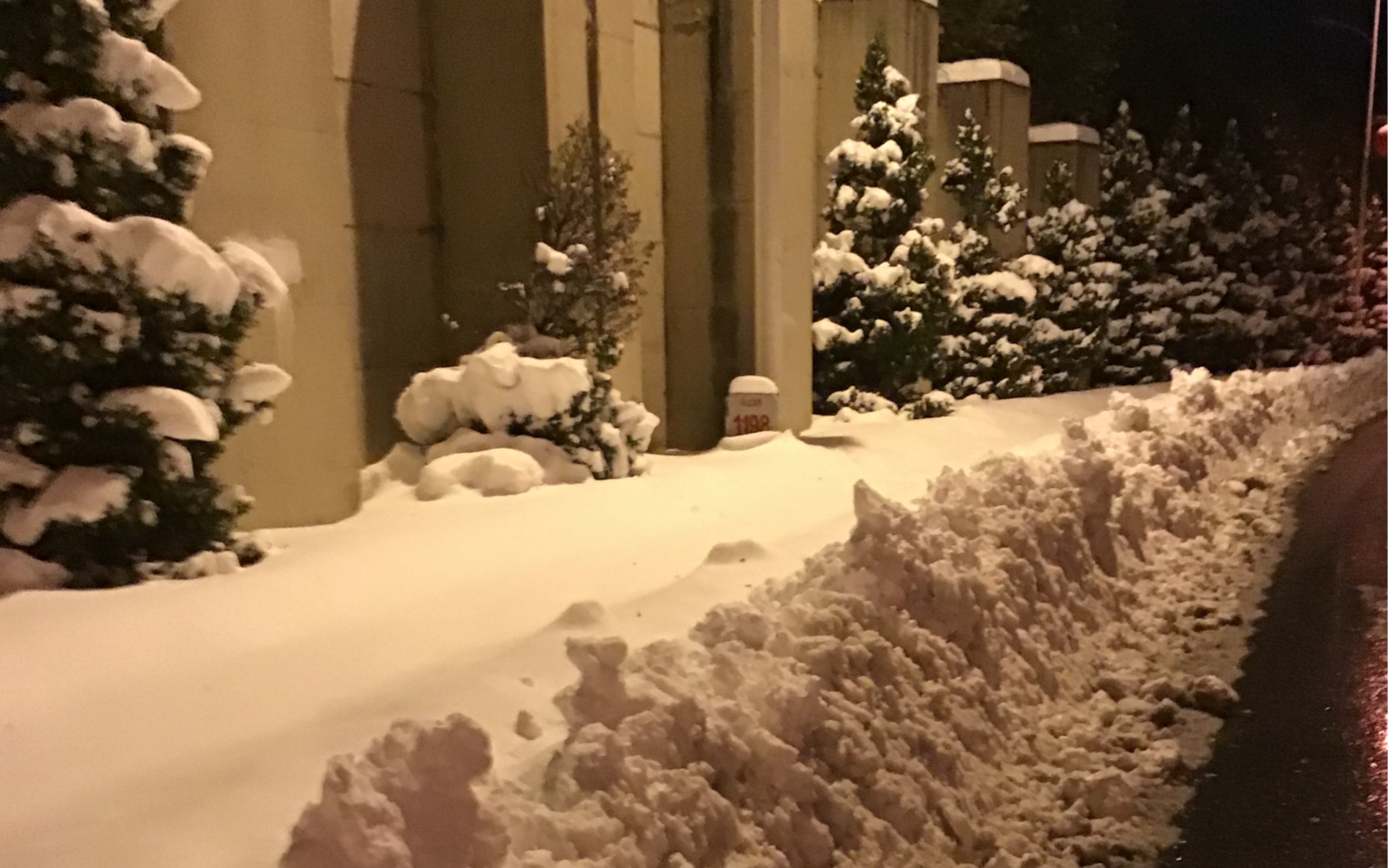 [图]雪 中 进 军——德国人当年在苏联可比这个绝望 大家听一听这踏雪行进的美妙的声音罢！