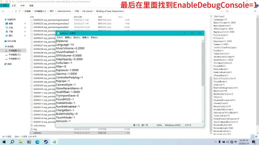 以撒的结合保姆级控制台打开教程（新版）