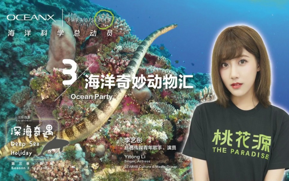 [图]《深海奇遇Deep Sea Holiday》第三季第3集《海洋奇妙动物汇》