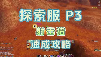 Download Video: 魔兽plus探索服 P3 射击猎 速成攻略