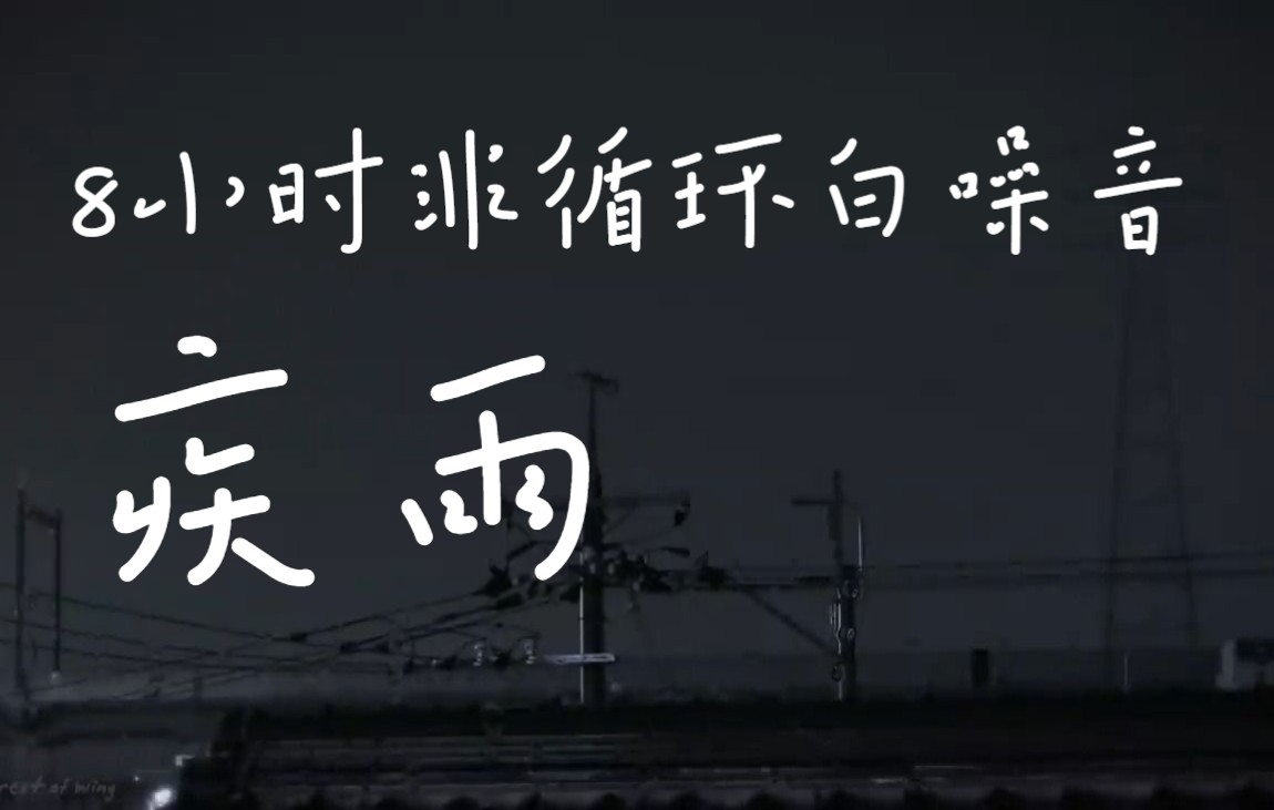 【长雨夜8小时实景非循环】疾雨 一整晚的雨声 雨夜 黑白 下雨 白噪音 环境音 天然真实雨声哔哩哔哩bilibili