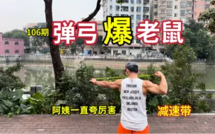 Download Video: 牛人弹弓小伙重回曾经住过的小区帮忙灭鼠，阿姨们高兴坏了，直呼不用买老鼠药了