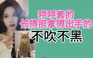 Video herunterladen: 【陈雨孜】在抖音上刷到金虎斑都觉得没有呼呼好看｜20240212电台