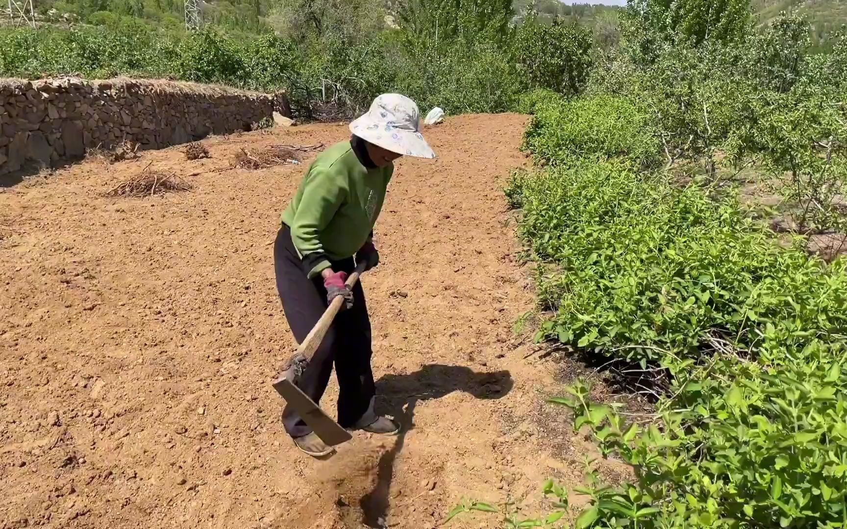 [图]山东农村彩礼是多少，婚姻不是买卖，没有对比就没有伤害