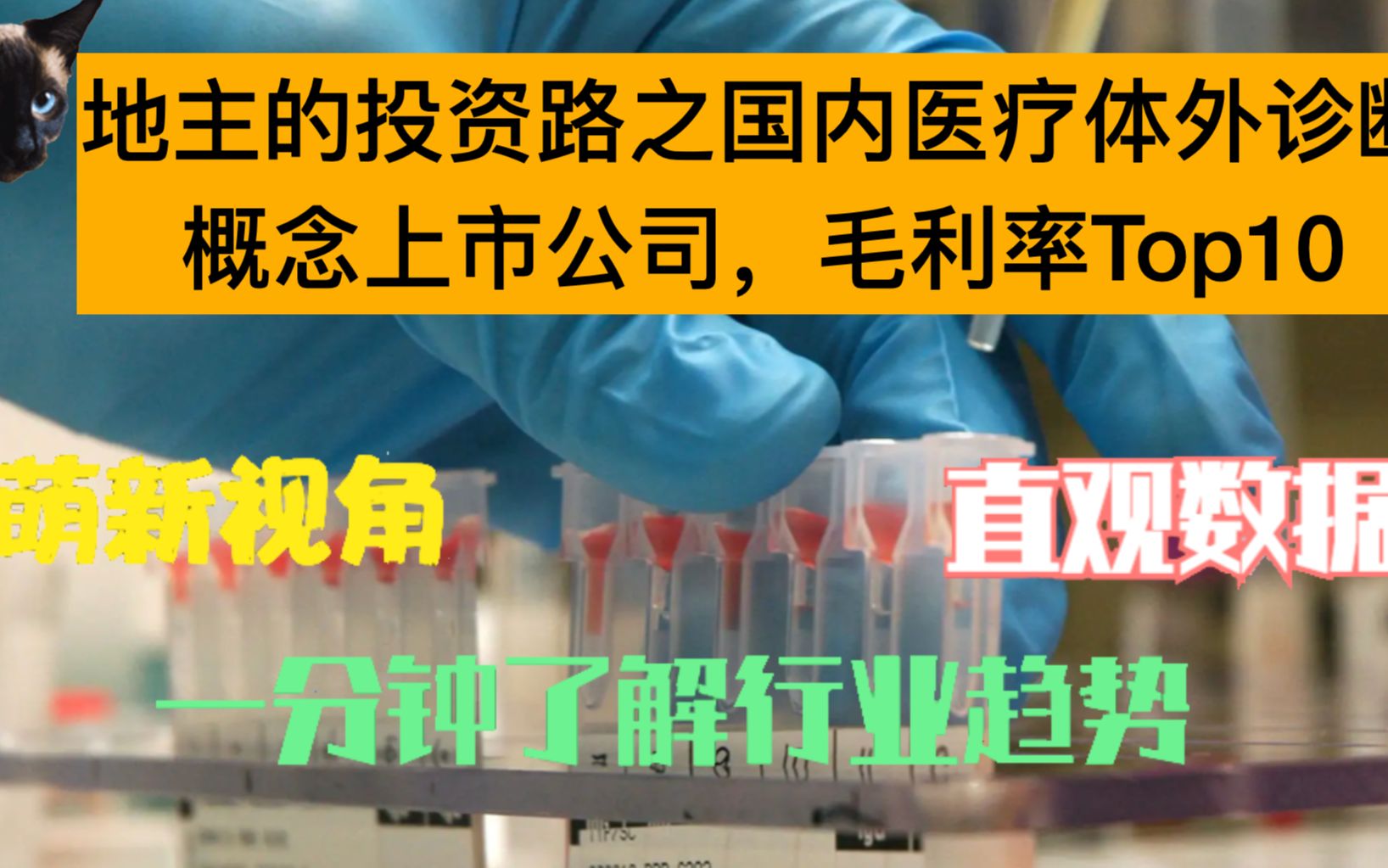 地主的投资路之国内医疗体外诊断上市公司毛利率Top10哔哩哔哩bilibili