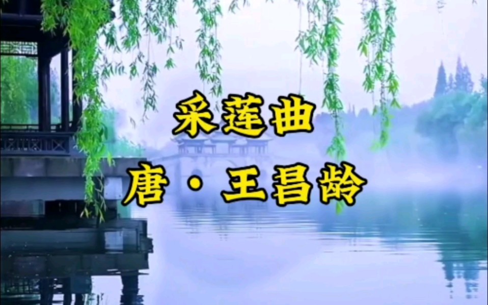 采莲曲唐王昌龄哔哩哔哩bilibili