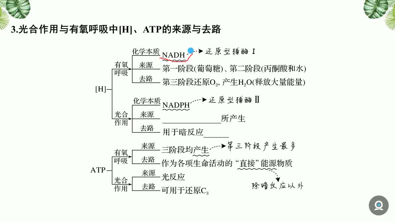 淄川中学生物网课4.30哔哩哔哩bilibili