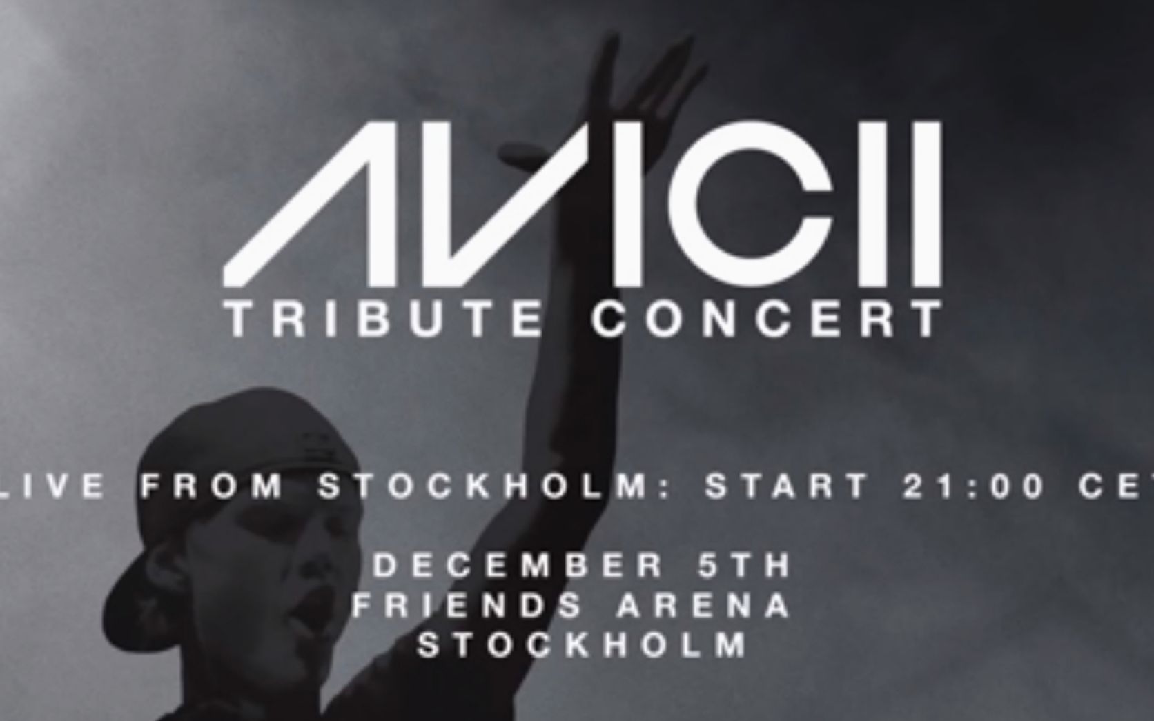 avicii12月5日纪念演唱会4k◢◤a神永存