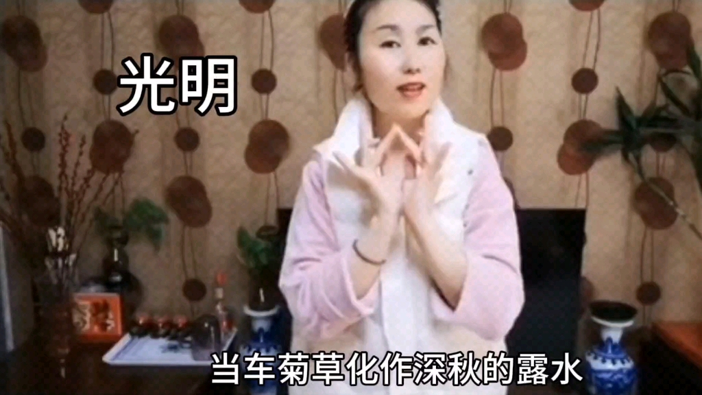 《光明》手势舞
